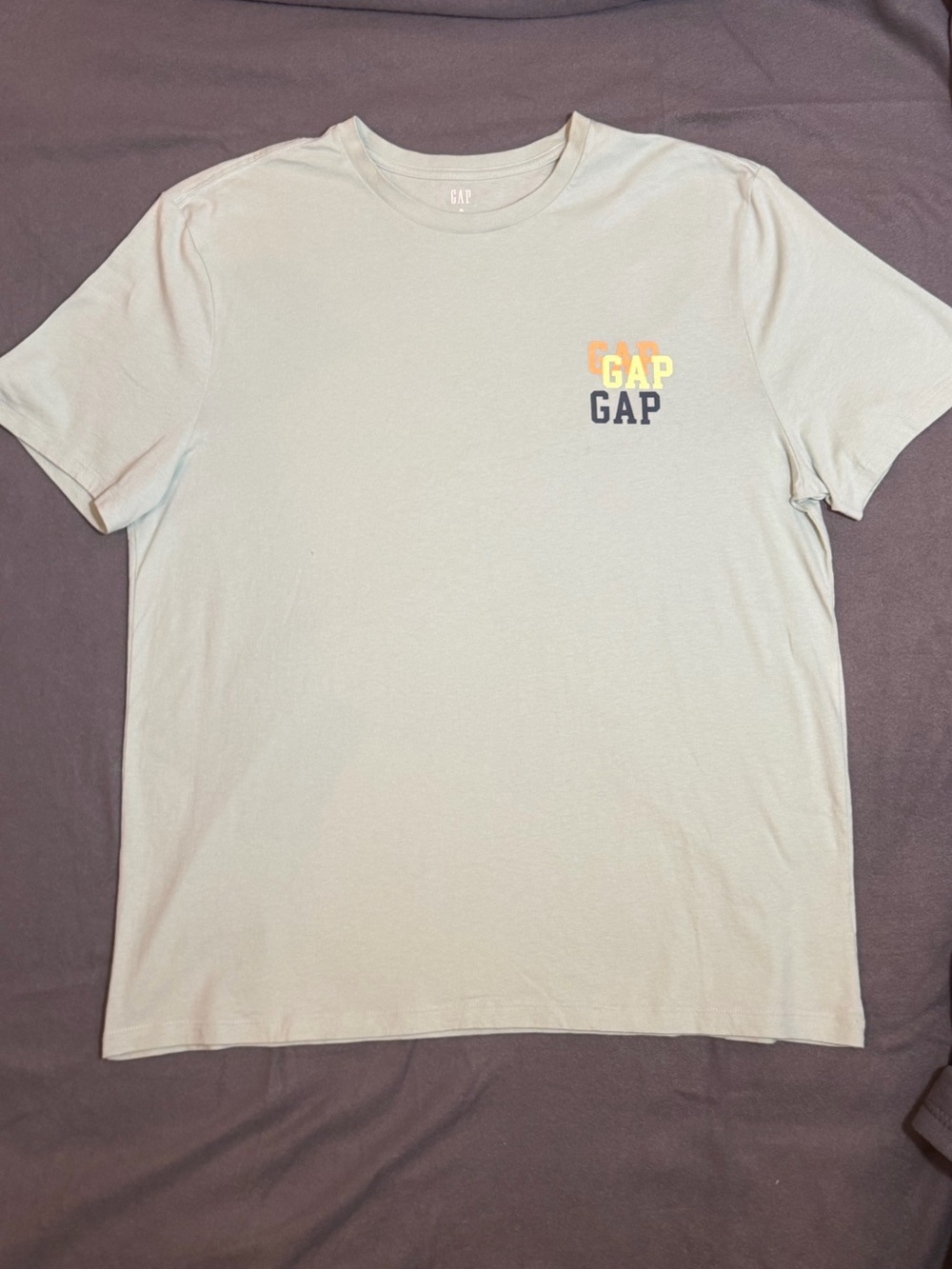 GAP Light Blue Logo Crew Neck T-Shirt